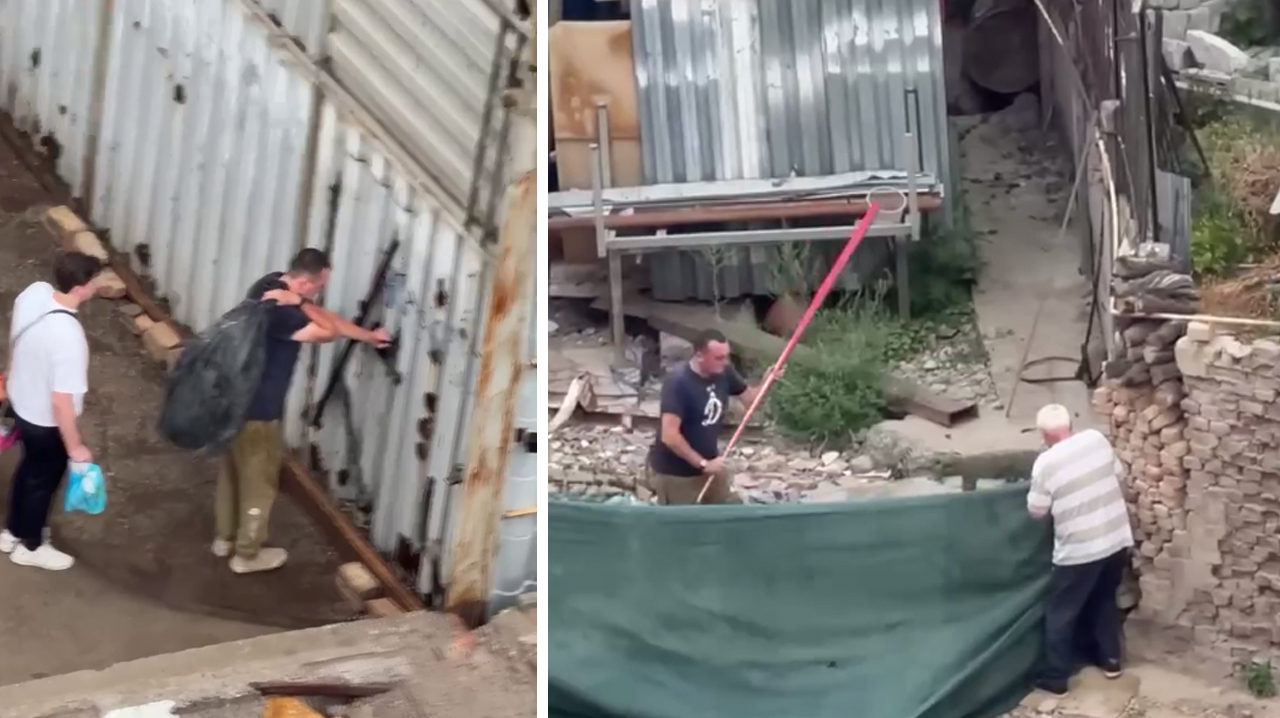 На глазах у людей собак забили палками до смерти. В Ташкенте разгорается скандал вокруг жестокого обращения с животными