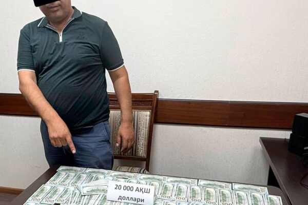Земля по-братски? Житель Ташкента пытался продать госучасток за 750 тысяч долларов