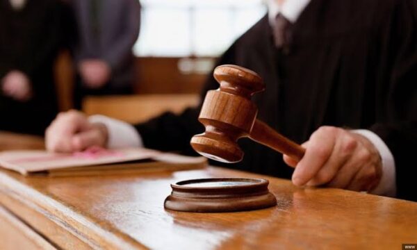 За убийство собак палками 7 суток ареста. Суд вынес приговор по резонансному делу в Ташкенте