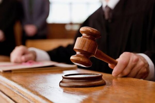 За убийство собак палками 7 суток ареста. Суд вынес приговор по резонансному делу в Ташкенте