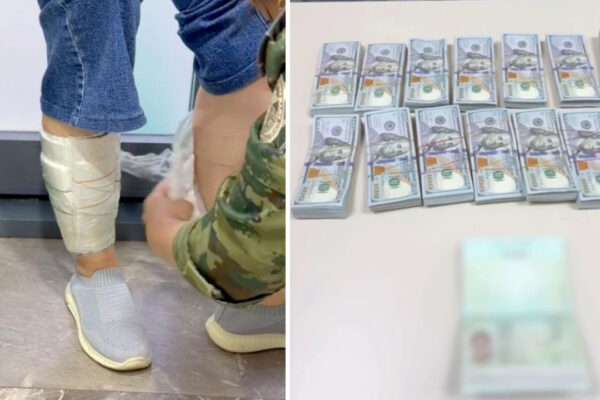 Скотч, голени и 240 тысяч долларов: на границе задержали двух «изобретательниц» Скотч, голени и 240 тысяч долларов: на границе задержали двух «изобретательниц»