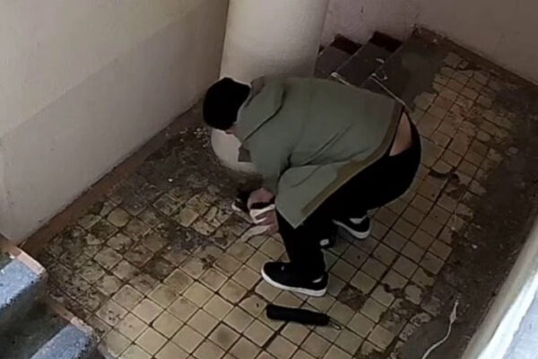 «Хотел снять ролик для Instagram»: в Ташкенте нашли мужчину, который душил кота в подъезде