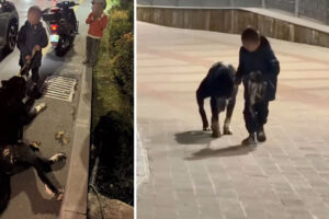В Самарканде мужчина тащил собаку за скутером. Туристы кричали и пытались его остановить