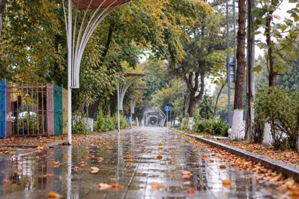 Узбекистану выписали немного дождя. Но это не точно: какая погода ждёт нас на выходных