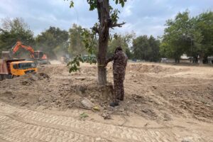 Озеленение с пеньками: в Ташкенте ради новой зелёной зоны незаконно вырубили деревья