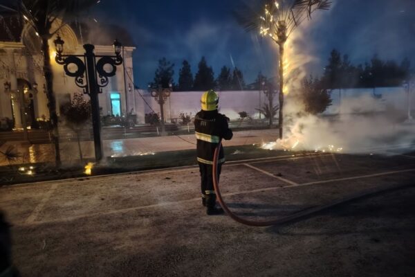 «Пальма, гори»: в Самарканде оборвавшиеся провода подожгли искусственное дерево